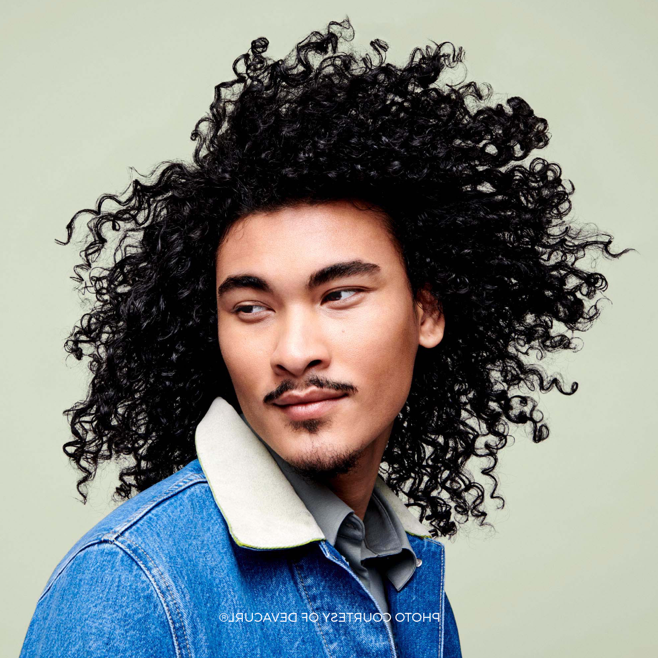 An image of a man with curly hair